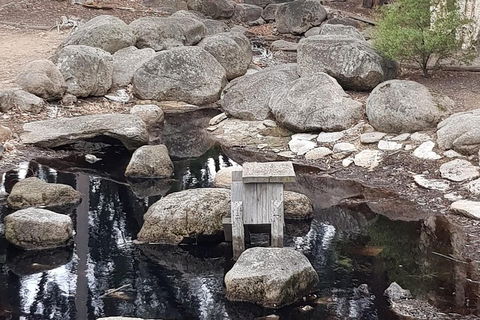 Bendigo, Echuca & The Mighty Murray - Events Australia 1