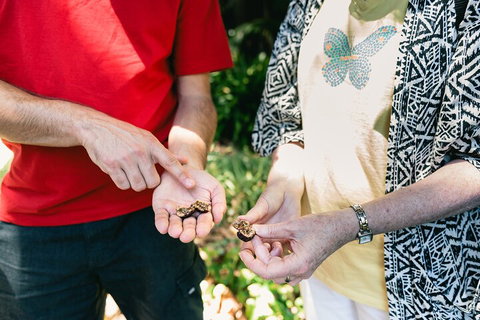 Perth Arcades And Laneways Walking Tour - Events Australia 0