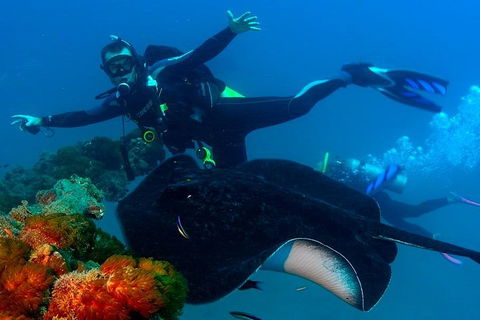 Scuba Dive The S.S. Yongala Wreck On The Great Barrier Reef. - Events Australia 0