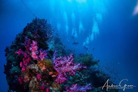 Scuba Dive The S.S. Yongala Wreck On The Great Barrier Reef. - Events Australia 2